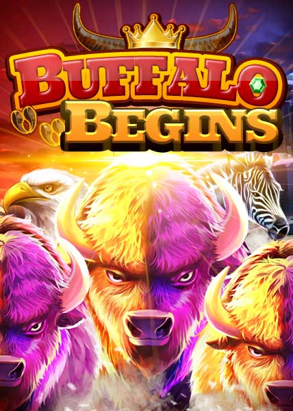 Buffalo Begins